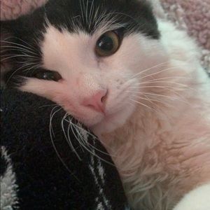 Meet your Posher, Holly